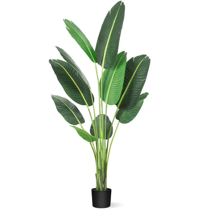 1 Plastic + Cement Green Plant Integrated - Canna