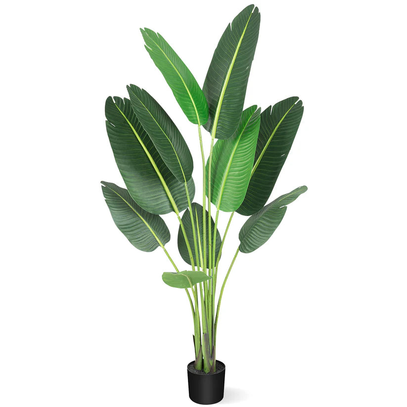 1 Plastic + Cement Green Plant Integrated - Canna