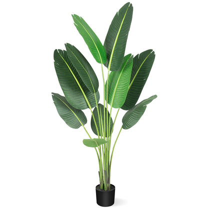 1 Plastic + Cement Green Plant Integrated - Canna