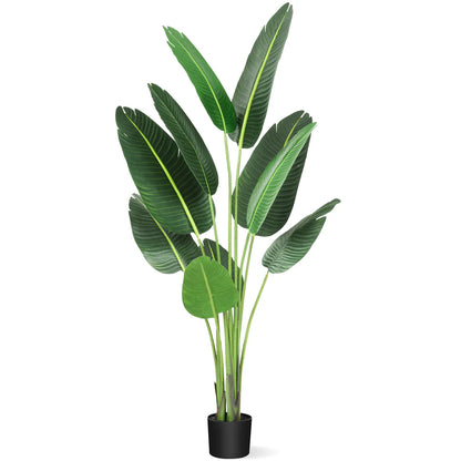 1 Plastic + Cement Green Plant Integrated - Canna