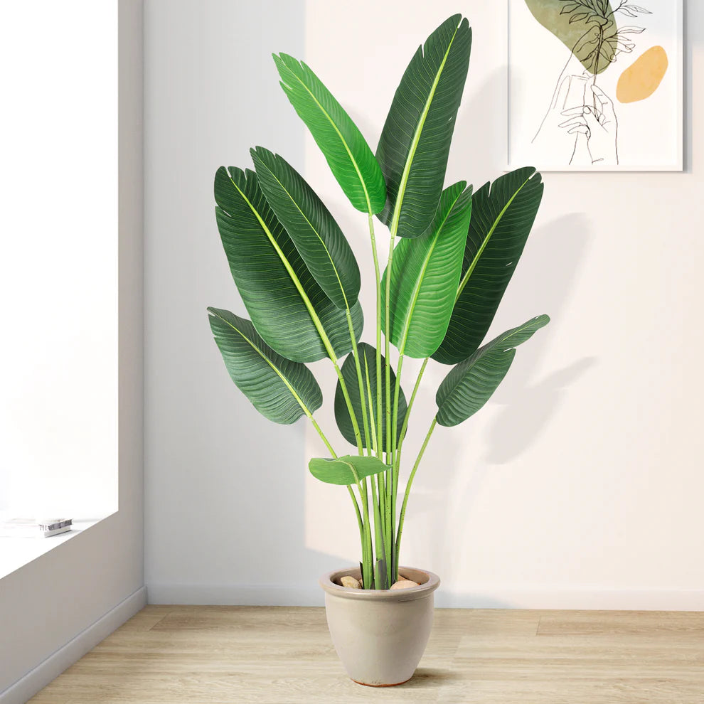 1 Plastic + Cement Green Plant Integrated - Canna