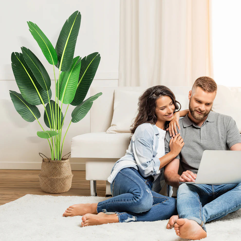 1 Plastic + Cement Green Plant Integrated - Canna