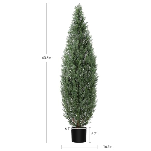 1 Plastic + Iron Wire Cypress