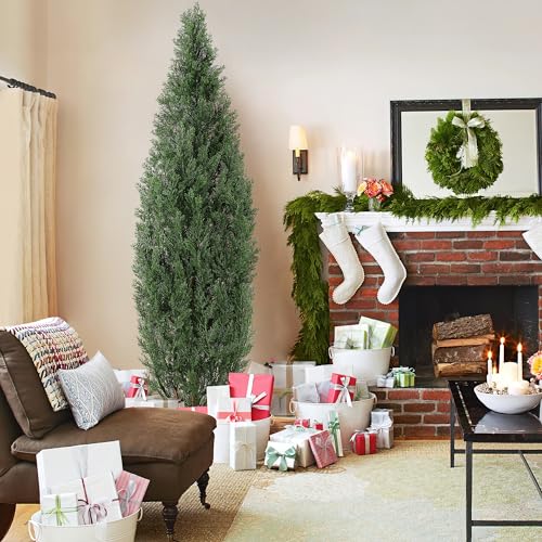 1 Plastic + Iron Wire Cypress