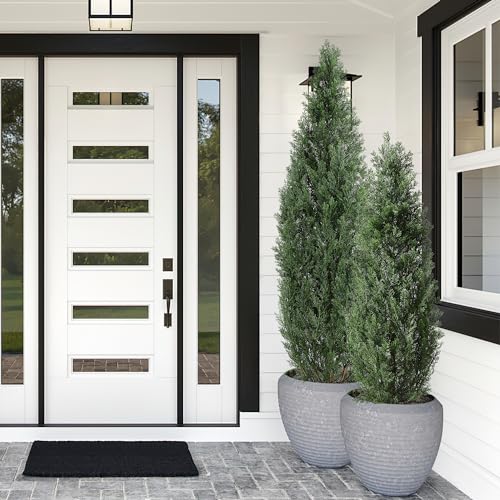 1 Plastic + Iron Wire Cypress