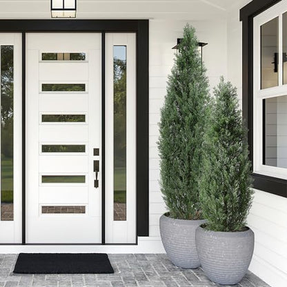 1 Plastic + Iron Wire Cypress