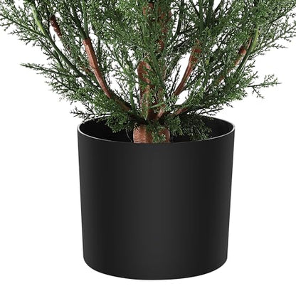 1 Plastic + Iron Wire Cypress