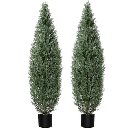 1 Plastic + Iron Wire Cypress