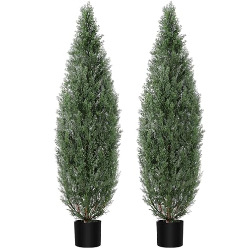 1 Plastic + Iron Wire Cypress