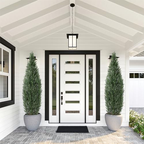 1 Plastic + Iron Wire Cypress