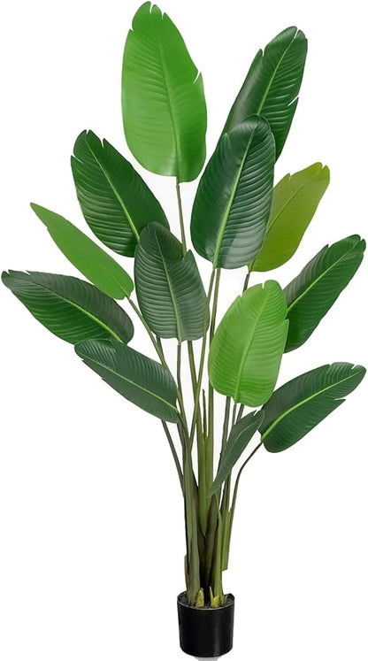 1 Plastic + Iron Canna 60"H Tender Shoots 2 Pieces