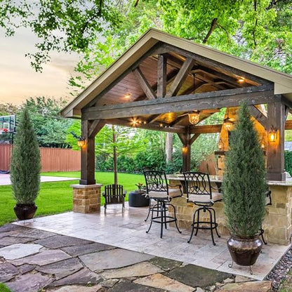 1 Plastic + Iron Wire Cypress