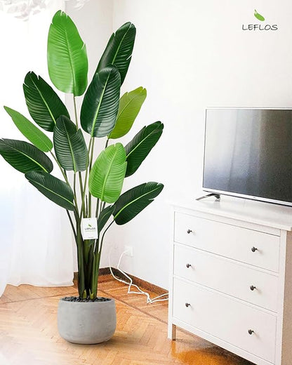 1 Plastic + Iron Canna 60"H Tender Shoots 2 Pieces