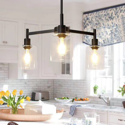 1 Iron + Glass Cover Round Glass Cover Chandelier