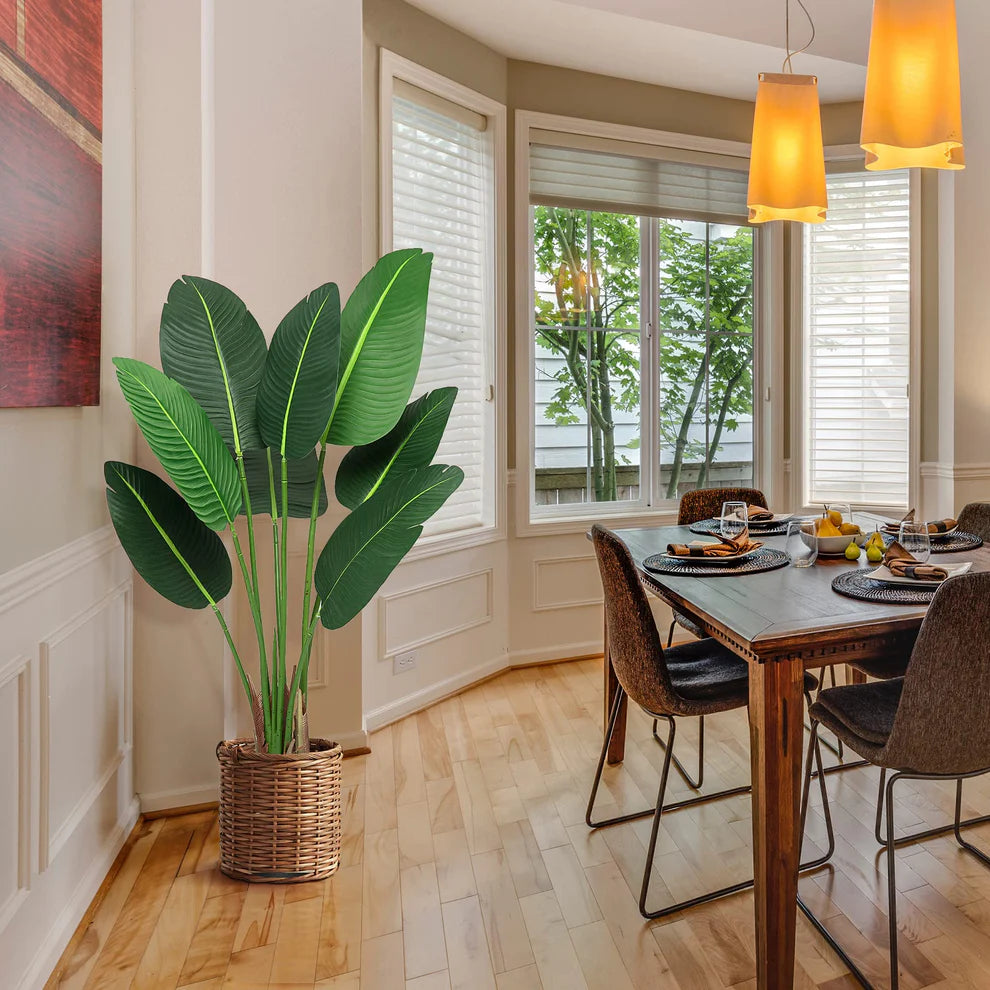 1 Plastic + Iron October Canna 48 High New