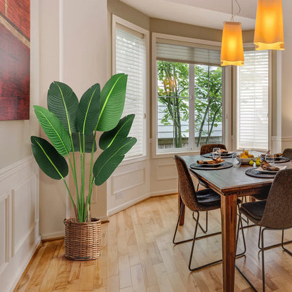 1 Plastic + Iron October Canna 48 High New